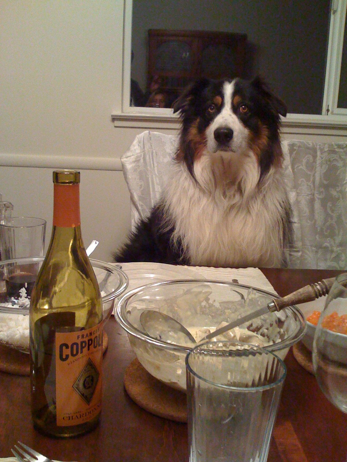 Buzz at dinner table