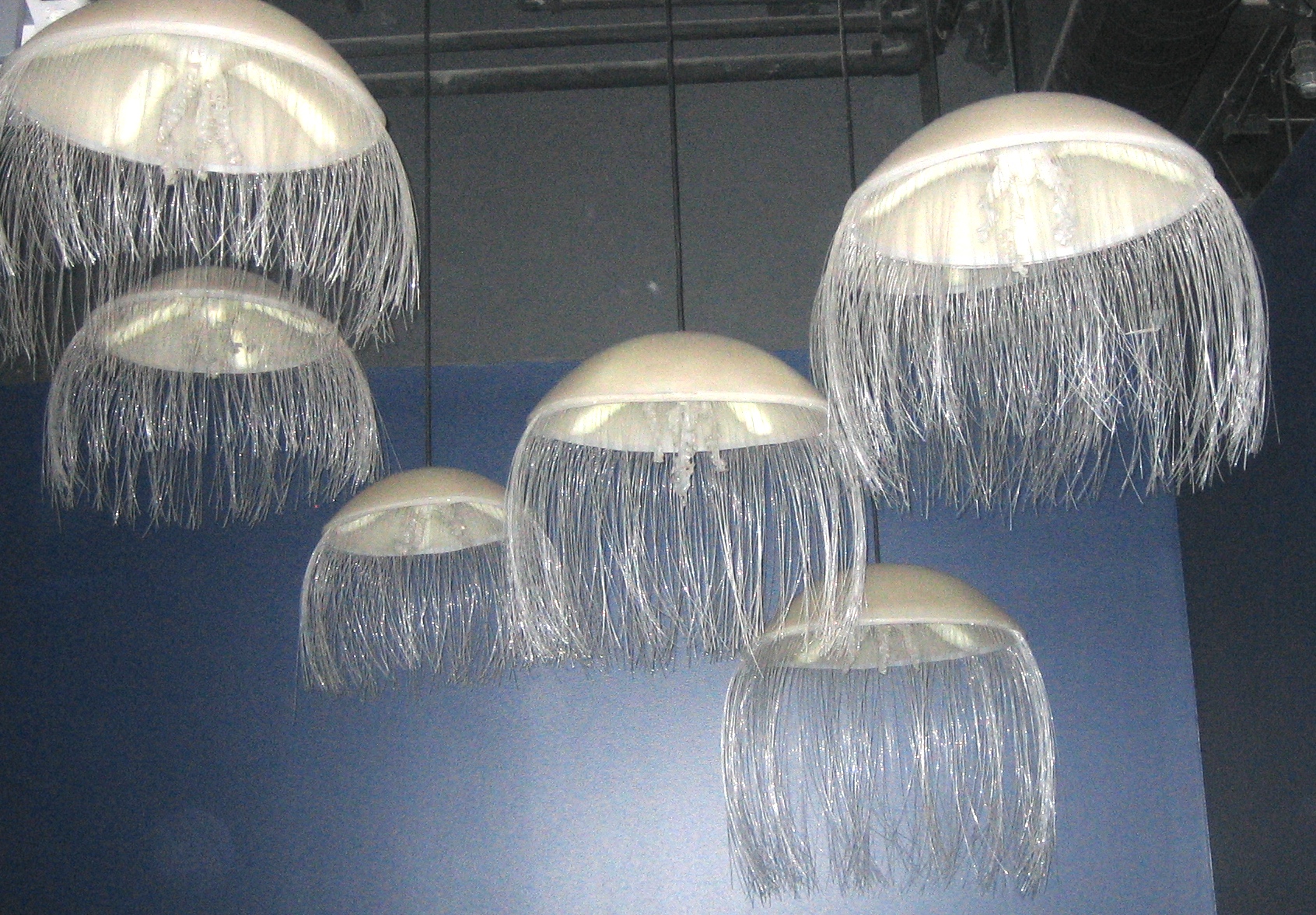hanging jellies