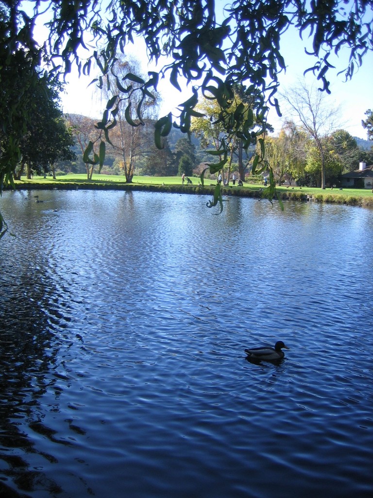 Pond 2